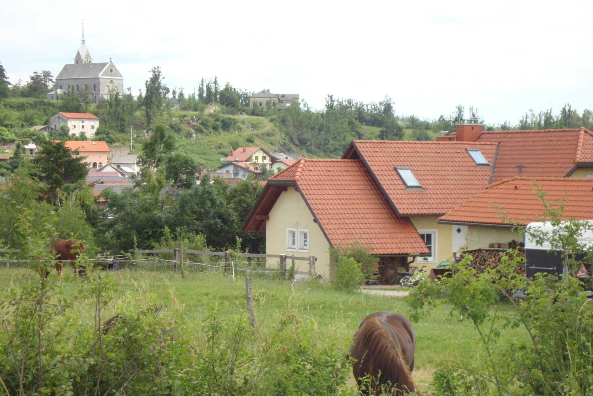 Bed And Breakfast Trnje Pivka Exterior foto